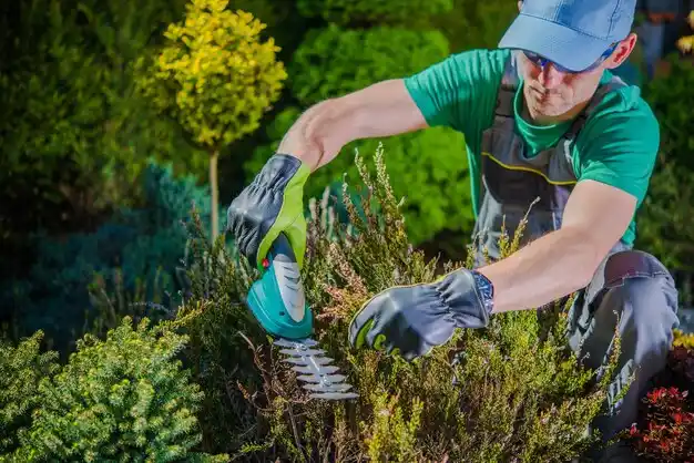 landscaping services Alba